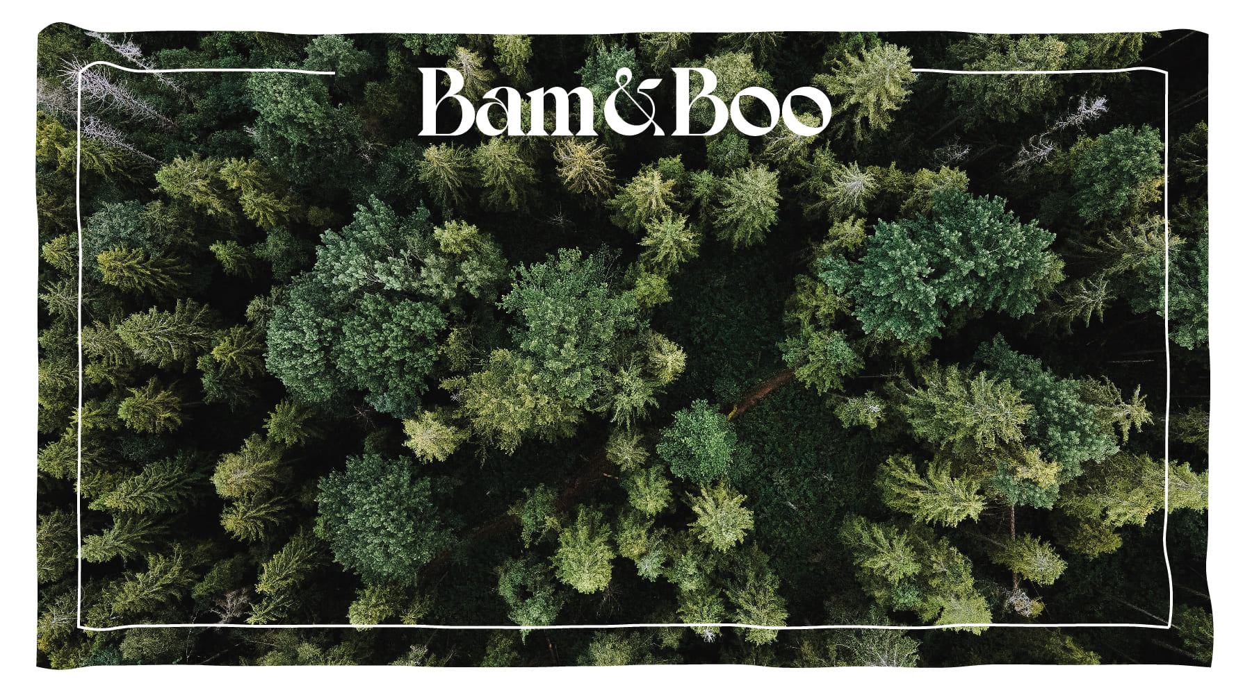 5 Principais Benefícios das Árvores - Bam&Boo