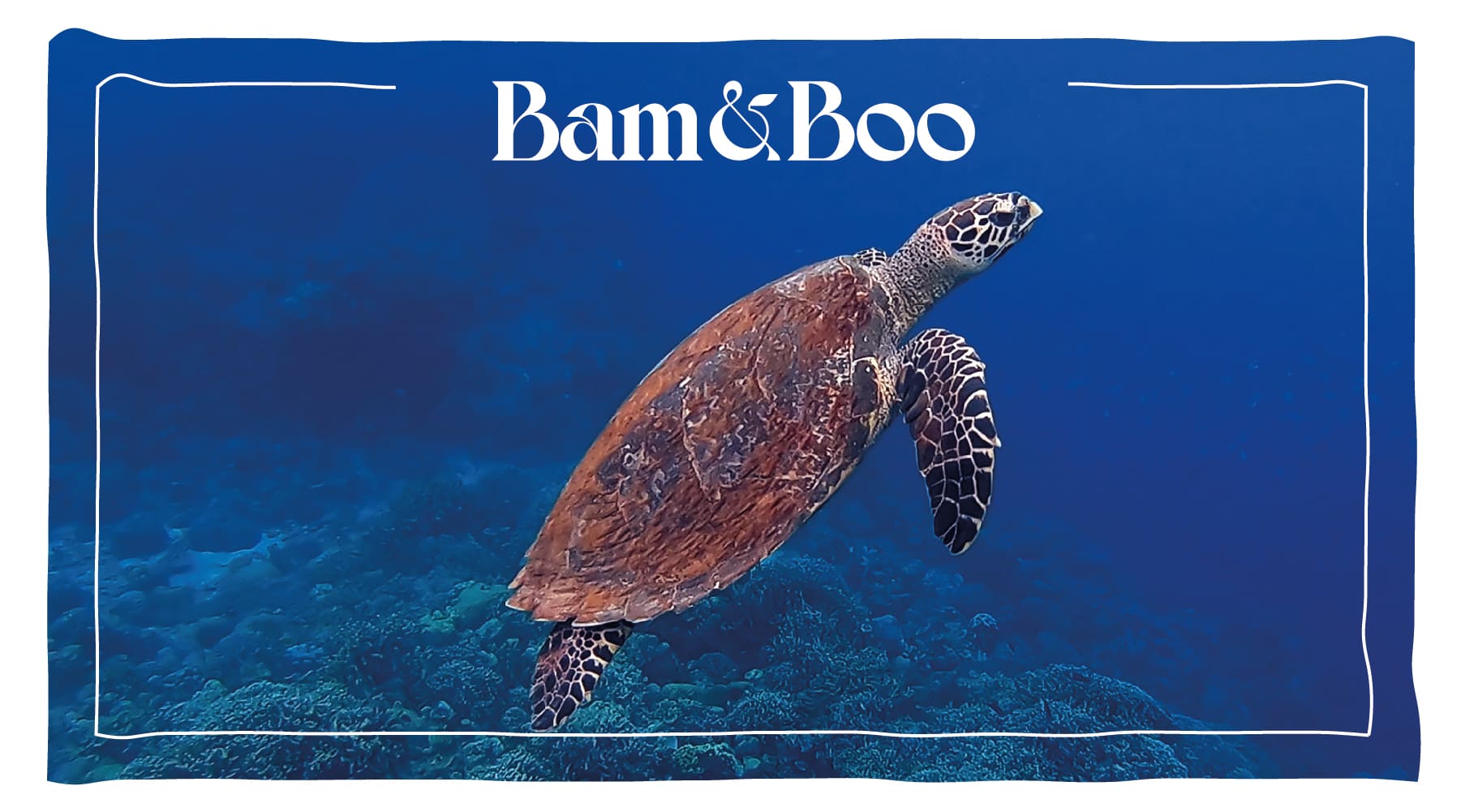 A Letter to the Oceans in 2030 - Bam&Boo
