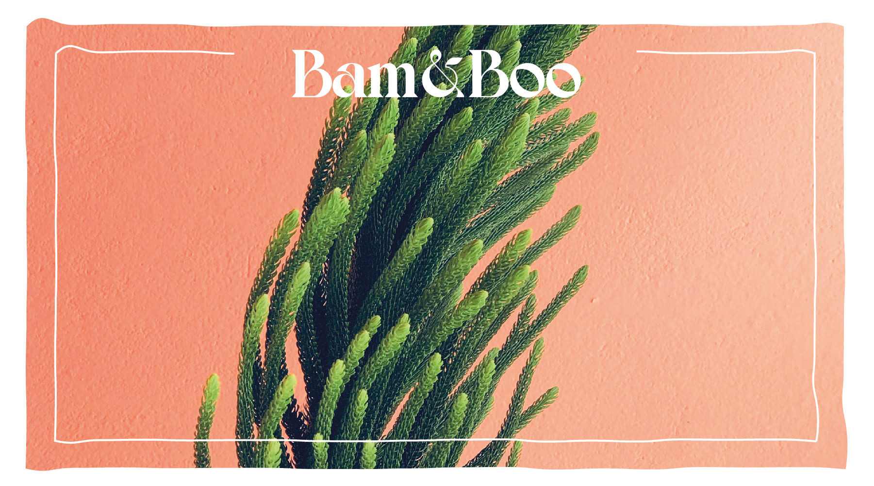 Concepção ecológica: Produtos Sustentáveis para um Planeta Sustentável - Bam&Boo