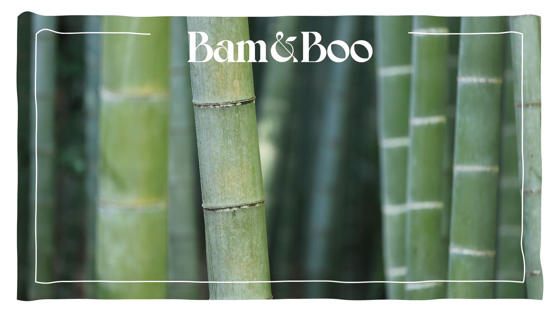 Why are Bamboo Toothbrushes Better Than Plastic? <br> (3 Main Reasons) - Bam&Boo